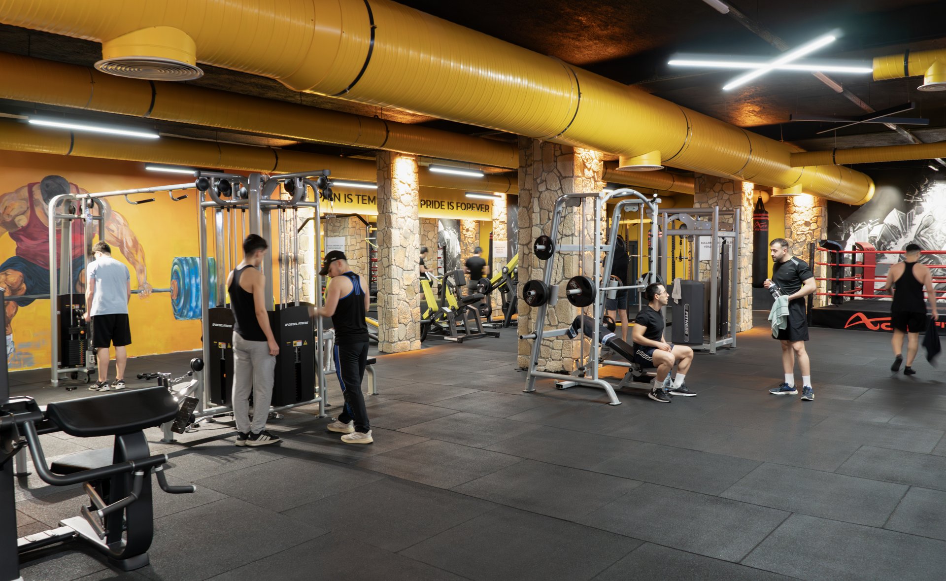 Mahmutbey Fitness — geniş ve ferah ana salon, profesyonel donanım